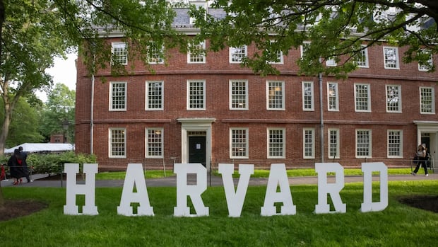 As Trump, Harvard fight in court, U of T may host the Ivy League school's international students | CBC News