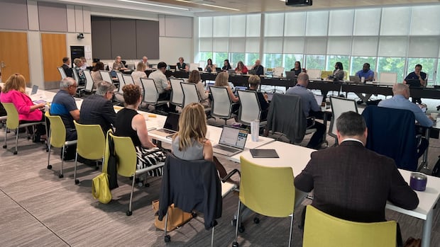 Western University's partnership with for-profit recruiter clears final hurdle