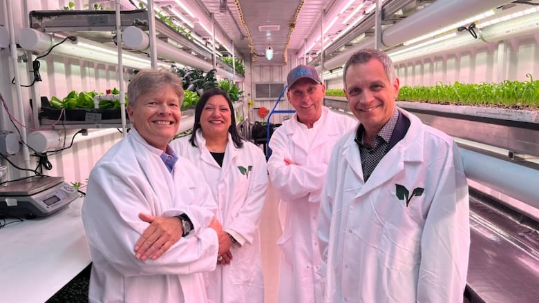 Three men and a women in white lab coats stand in front of rows of shelves of small leafy green plants in the early stages of growing.