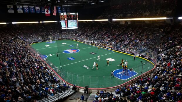 Lacrosse team Toronto Rock returning to Hamilton, to play at newly renamed TD Coliseum