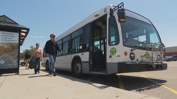 Would you take the bus to Bell Island? Metro-area mayors want your input