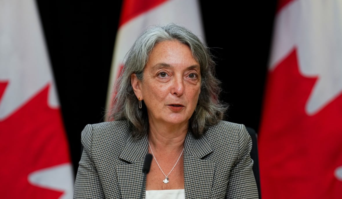 A woman speaks with Canadian flags in the background.