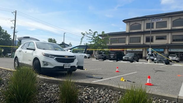 Man charged with second-degree murder after 'highly visible and tragic event': RCMP