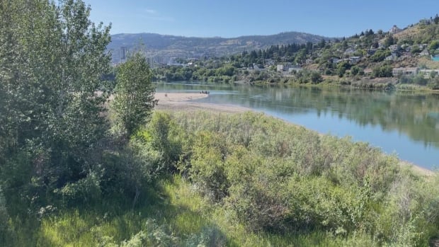 A river is seen cutting through a sandy beach surrounded by leafy hills.