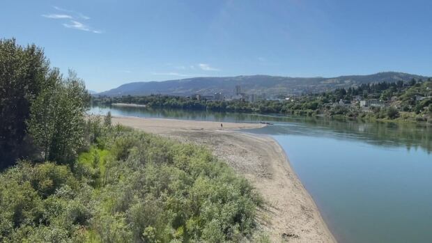 A river is seen cutting through a sandy beach surrounded by leafy hills.