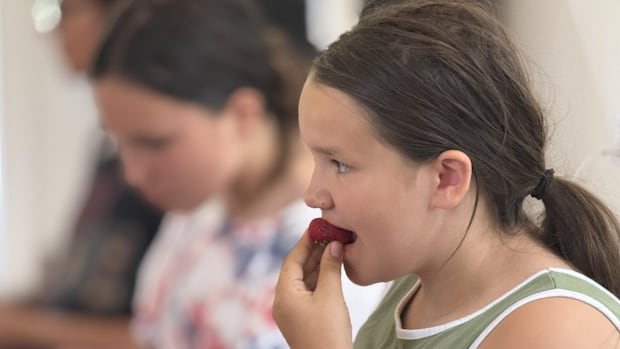 Celebrating menstruation through a strawberry ceremony