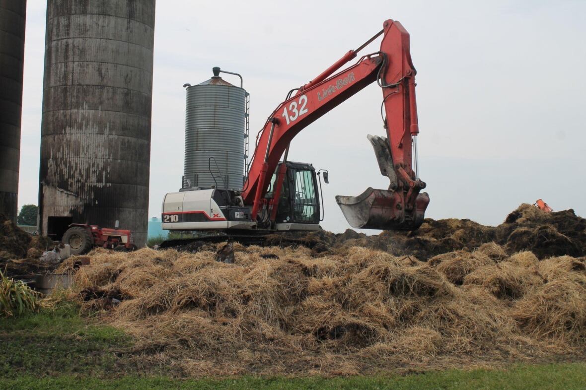Excavator moving hay. 