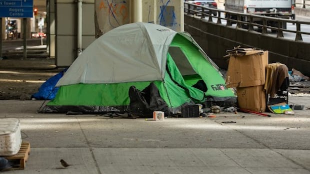 Toronto's unhoused population more than doubled in 3 years, new city survey finds | CBC News