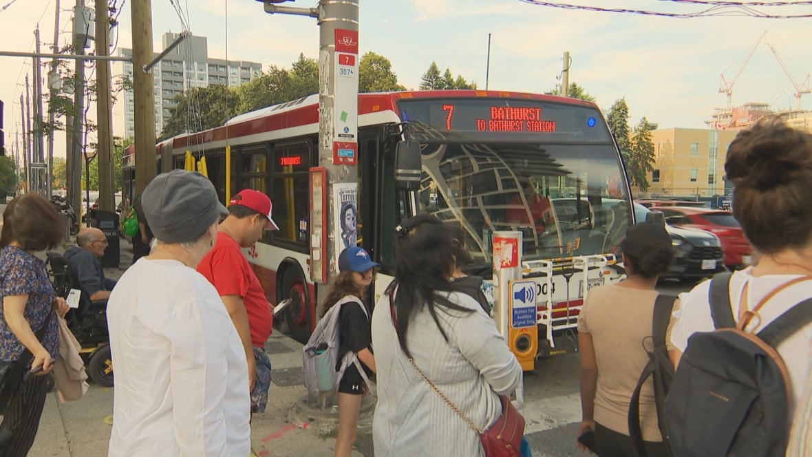 Bathurst bus