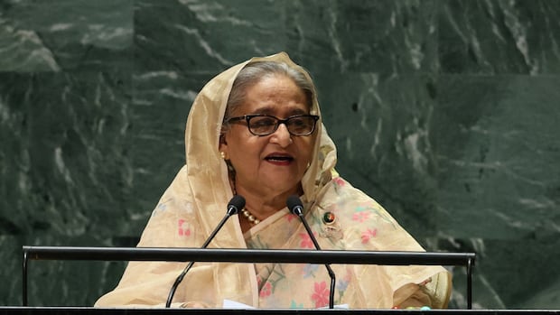 Bangladesh tribunal indicts former leader Sheikh Hasina over protester deaths