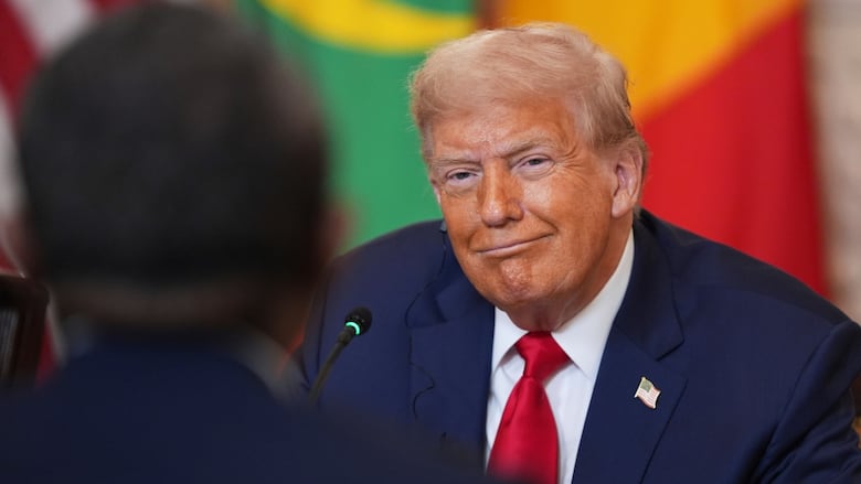 U.S. President Donald Trump, seen during a lunch with African leaders, in the State Dining Room of the White House.