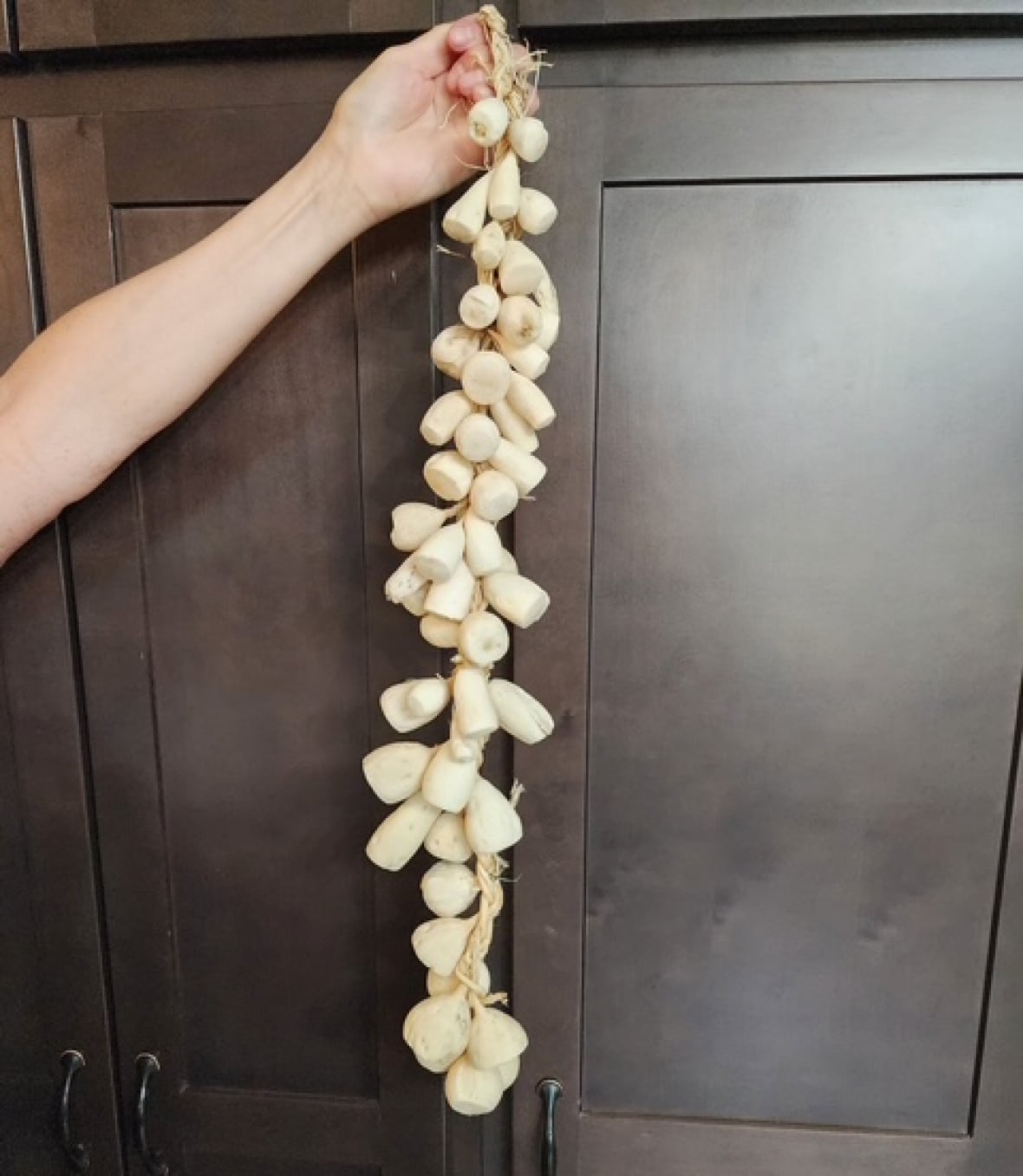 A braid of about 50 wild turnips are tied together, almost looking like a necklace of garlic.