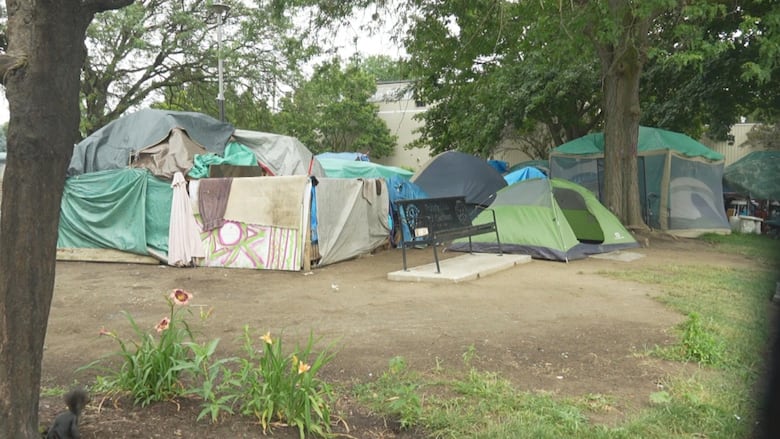 Dozens of tents set up inside the park. 