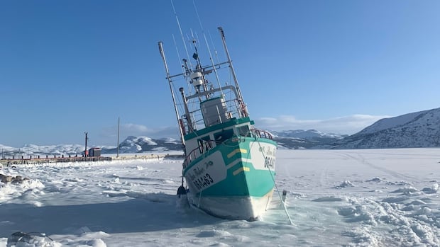 CBC N.L.'s Adam Walsh joins Oxford Climate Journalism Network