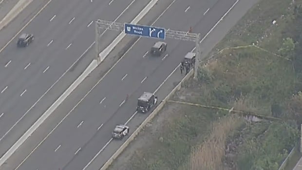 Toronto police homicide unit investigating body discovered near Hwy. 401 in Pickering | CBC News