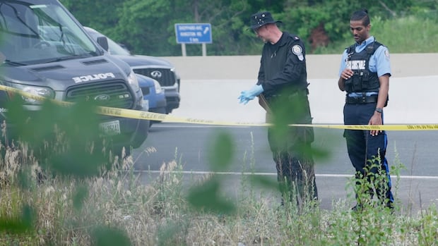 Woman found dead off Highway 401 was reported missing in Toronto, man in custody, police say