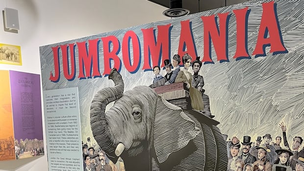 New exhibit in St. Thomas explores legacy of global icon — Jumbo the elephant