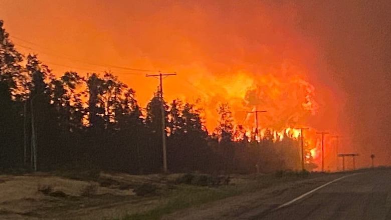 Fire burns trees beside a highway.