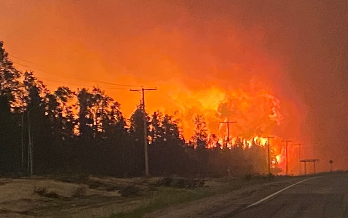 'Have a number of plans for getting out': Learn how to successfully put together for a wildfire evacuation 1 Fire burns trees beside a highway.