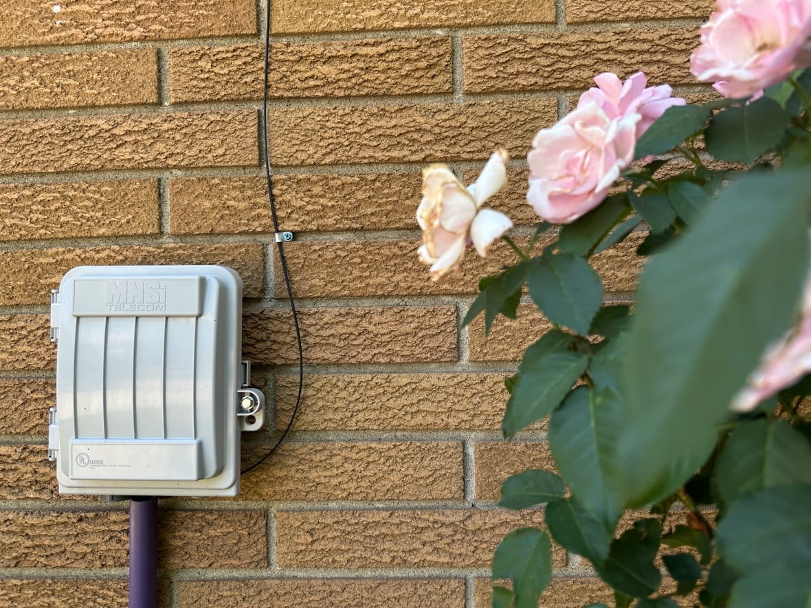 A MNSi connection.
