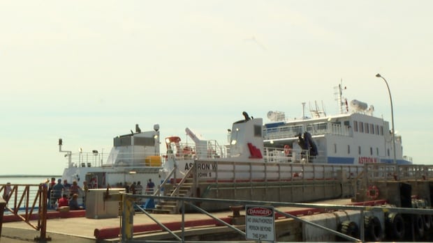 Fogo Island ferry protest over, but more work to be done says committee