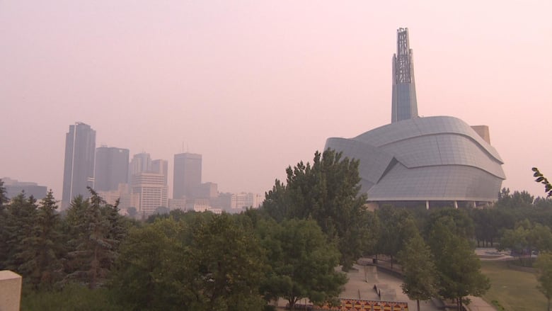 Skyline of a city with buildings in the back of a park recovered in smoke.