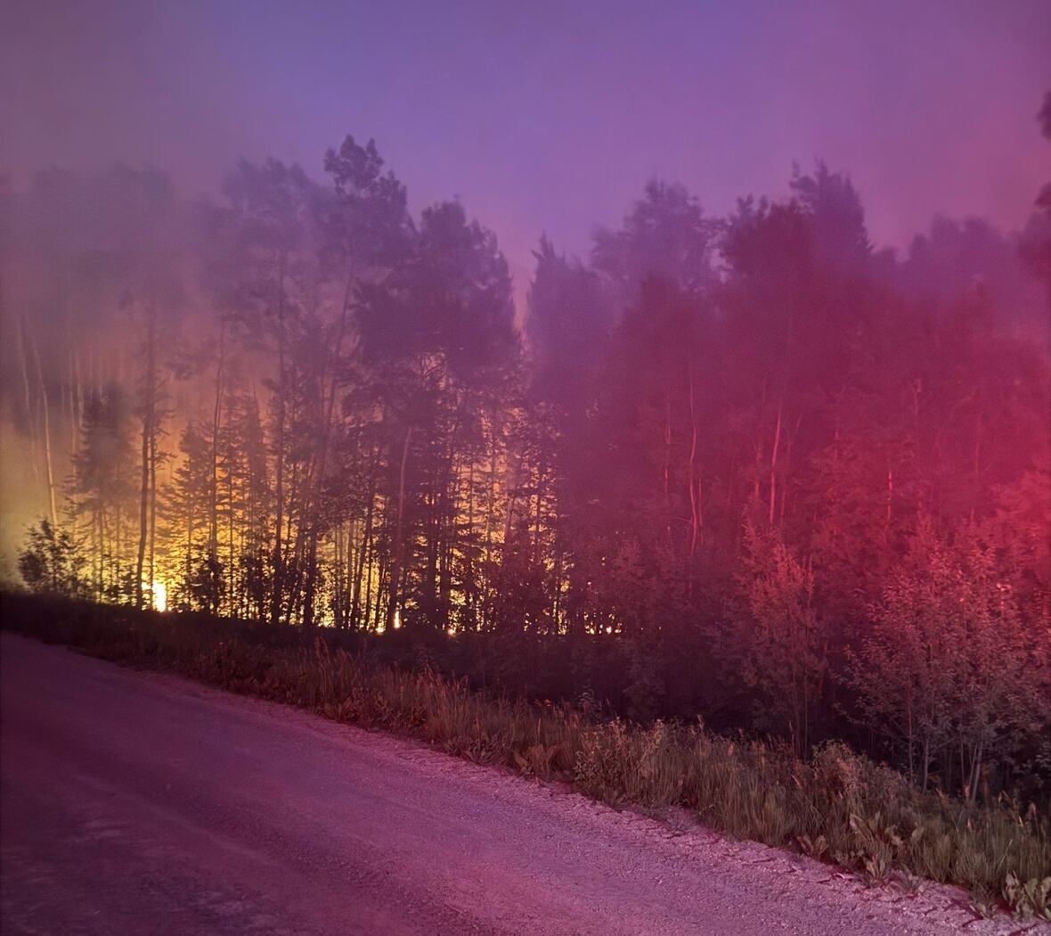 dark pink sky with wildfire engulfing forest in the background