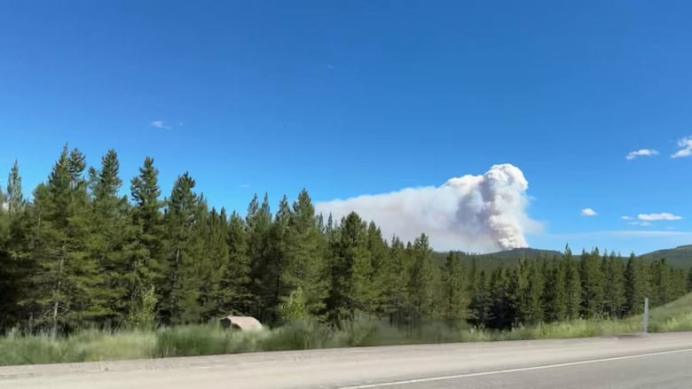 White smoke rises from over the tree line, billowing into a clear, blue sky.