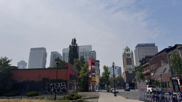 air-quality-statement-hamilton.jpeg