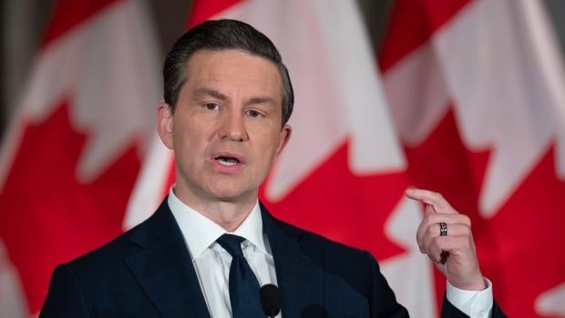 A man in a suit gestures with his hand as he speaks into a microphone in front of a row of Canadian flags.