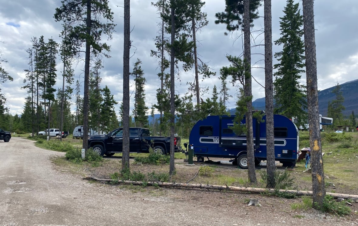 A blue trailer is linked behind a pick-up truck in the drive of a campsite, surrounded by evergreen trees at campground in Jasper National Park.