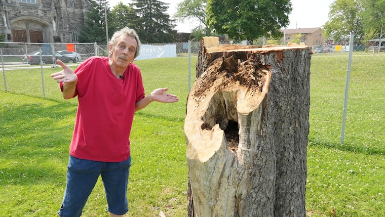 Soda standing next to a tree stump shrugging his shoulders. 