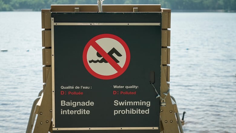 A sign at a beach says swimming is not allowed because the water is polluted.