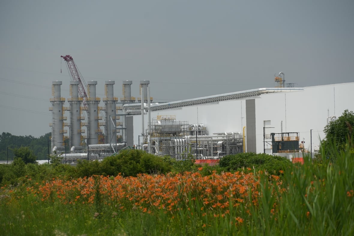 A large industrial building is seen with orange flowers in the foreground.