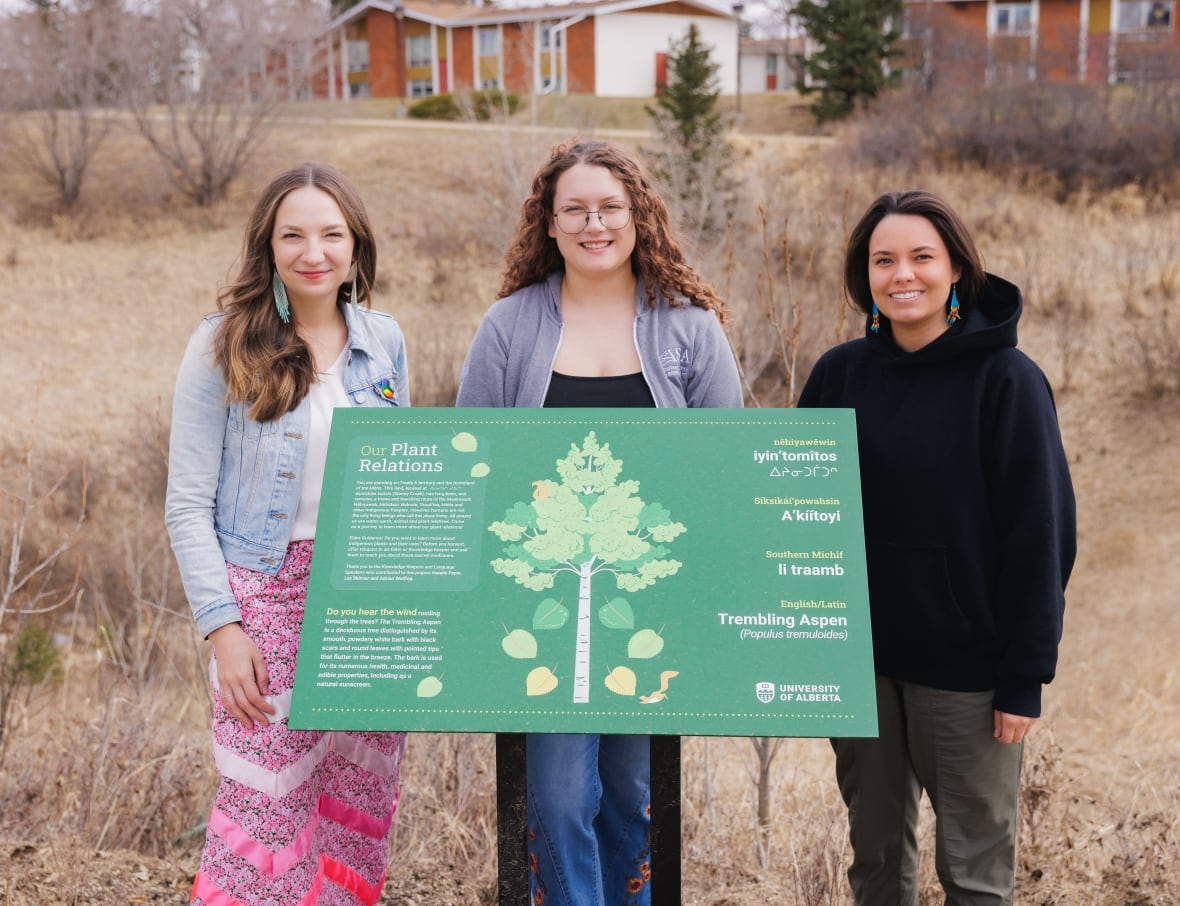 Three women stand in a sage field. 