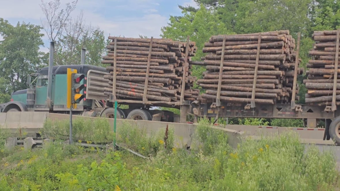 A green logging truck carrying a load of logs races through a set of red lights at a bridge.