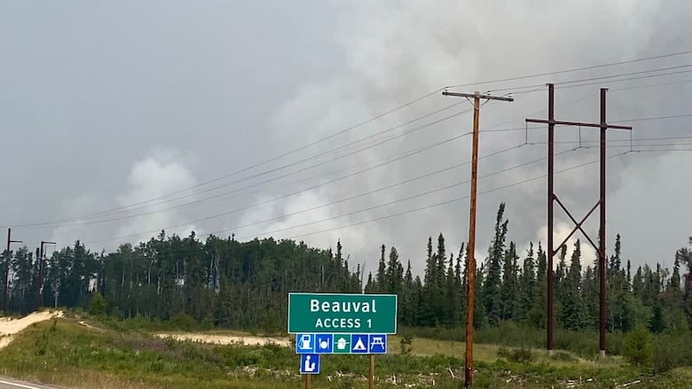 picture of wildfire smoke in forest