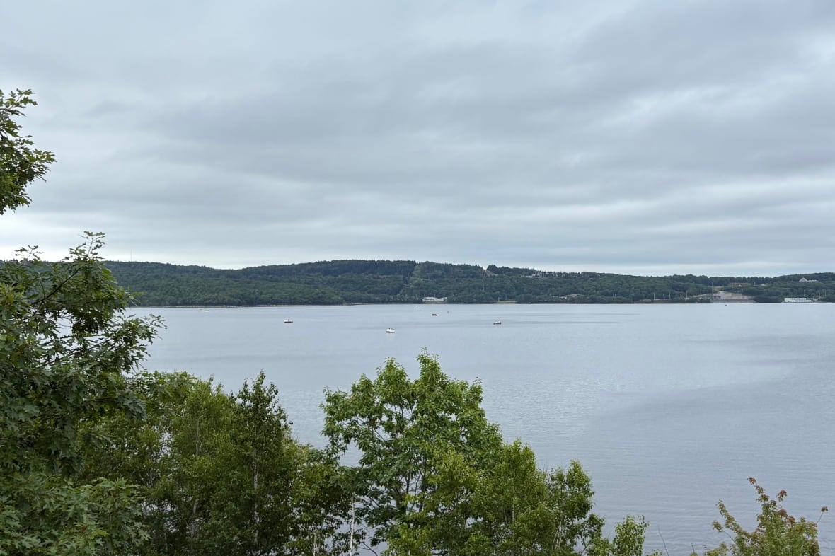 4 cilanders in the water viewed from the shore