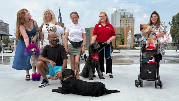 Dog Days of Summer event invites local dogs to Downtown Windsor