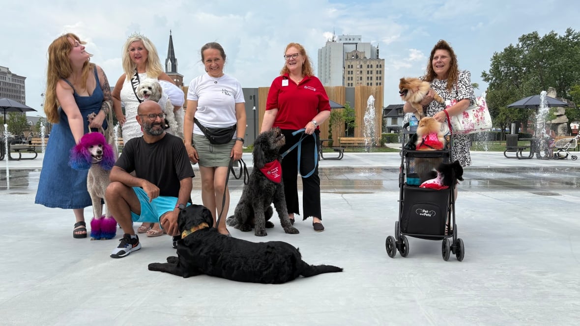 Six humans pose with seven dogs of different breeds and colours in front of an outdoor splash pad.