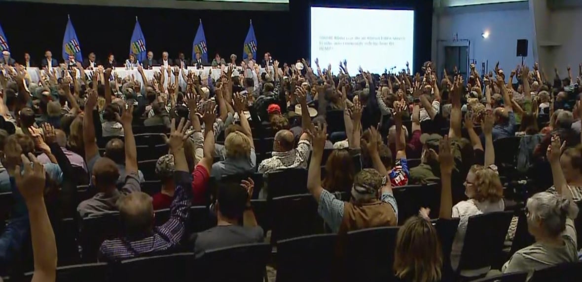 seated people with their hands raised
