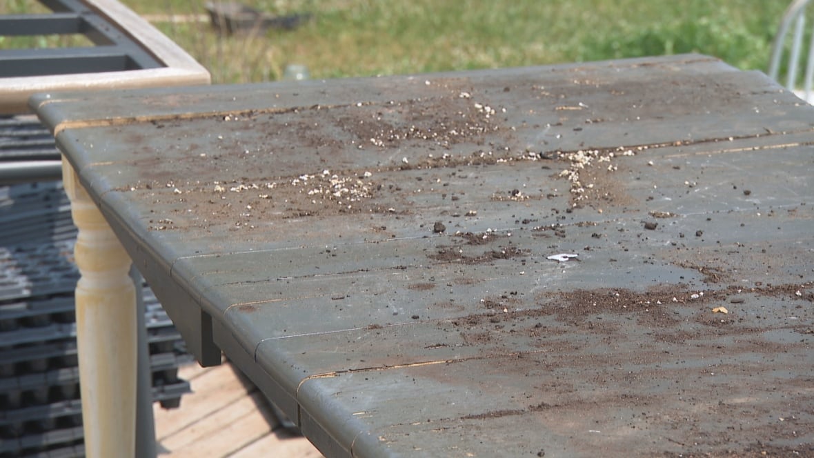 A closeup of an outdoor table's surface covered in dirt.
