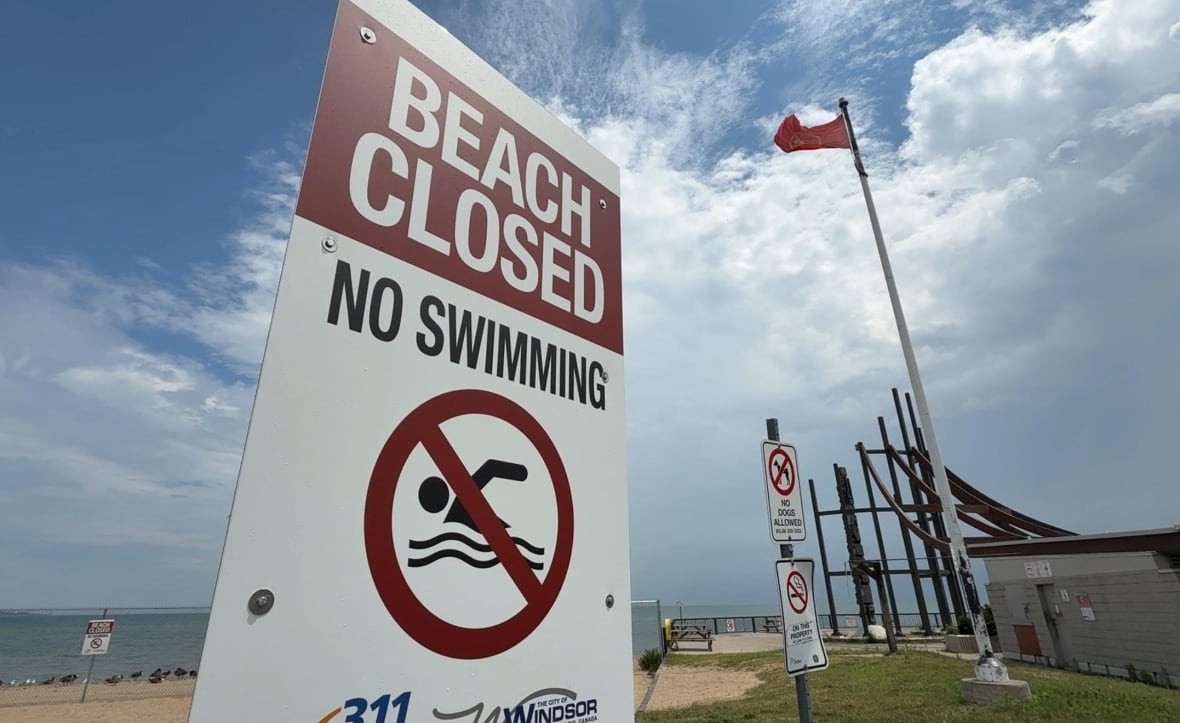 A sign at Sandpoint Beach tells swimmers it's closed to swimming. 