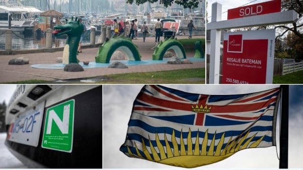 A composite picture of an Ogopogo sculpture at a water park, the B.C. flag, an N on a licence plate, a real estate sold sign and green hills and clouds.
