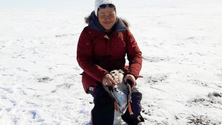 A woman who appears to be plucking a goose on a snowy landscape.