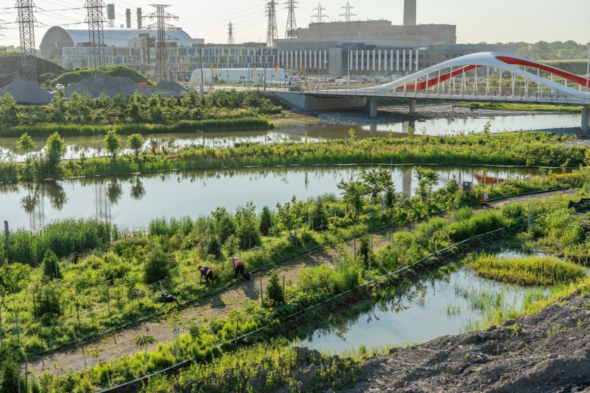 Waterways, vegetation, a path and a bridge with industrial buildings int he background