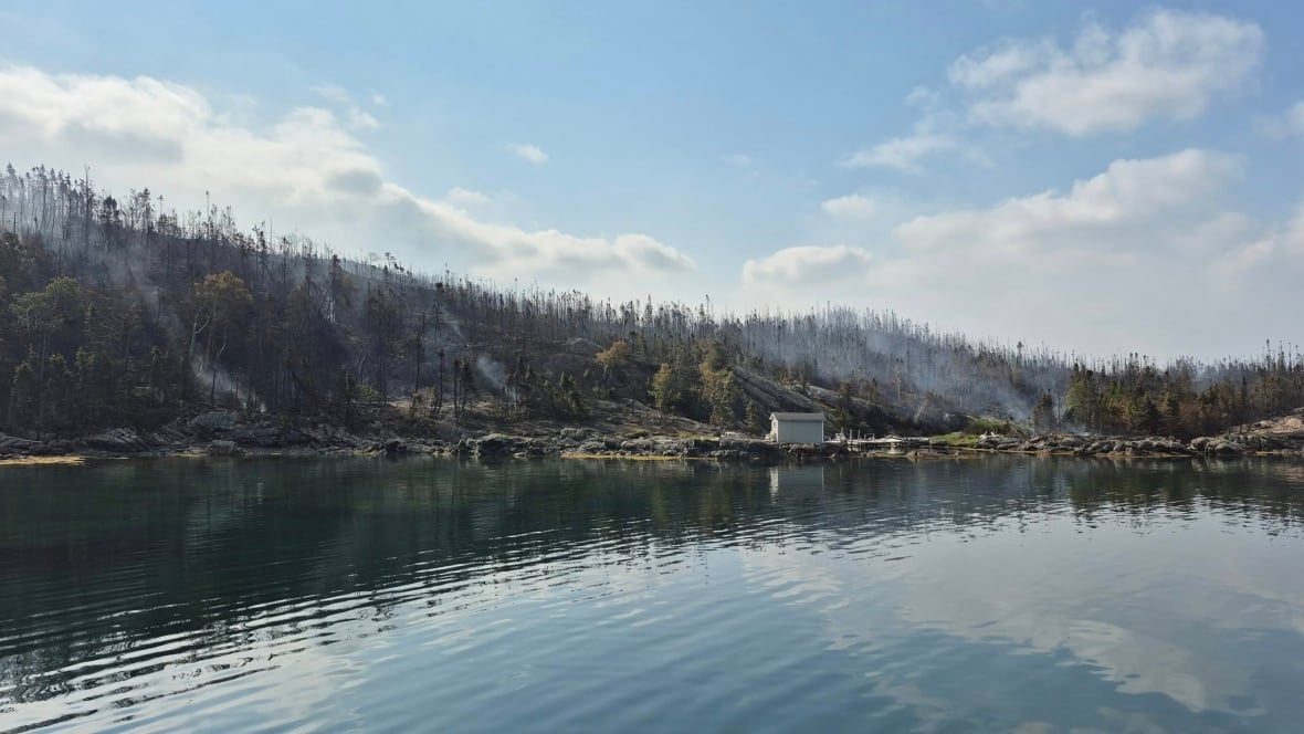 Smoke is seen rising from the ground on a shoreline.