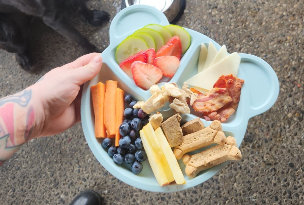 A charcuterie board for dogs.