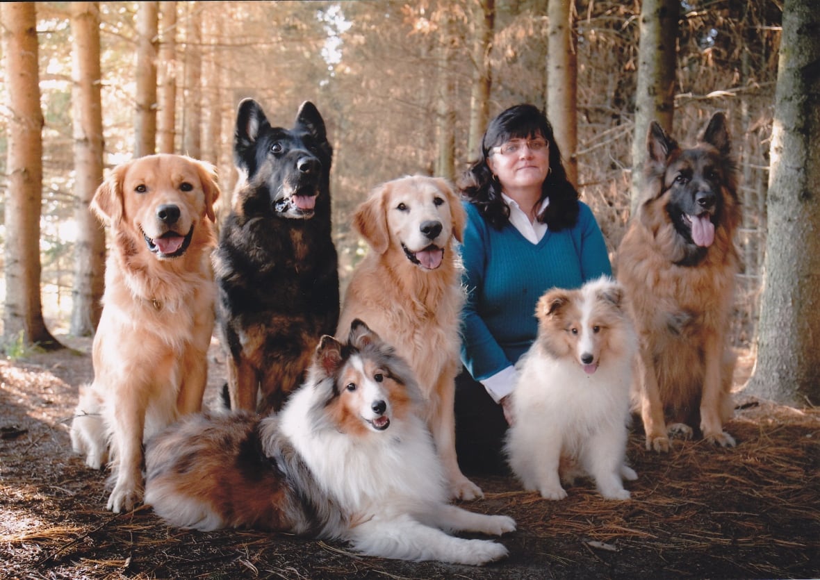 A woman sits with 6 dogs.