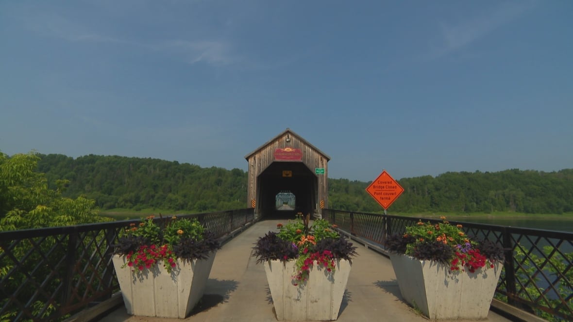 The mouth of a covered bridge with three planters in front of it and an orange triangle sign.
